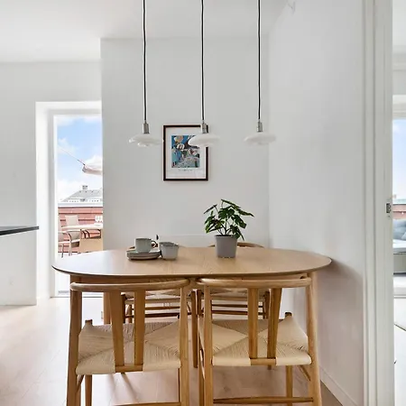 Apartment Penthouse In Center W Private Rooftop Terrace Århus